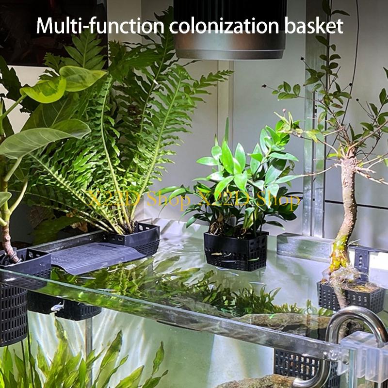 Aquarium Plant In Pot - X22D Traditional Styles Vertical Garden Hanging