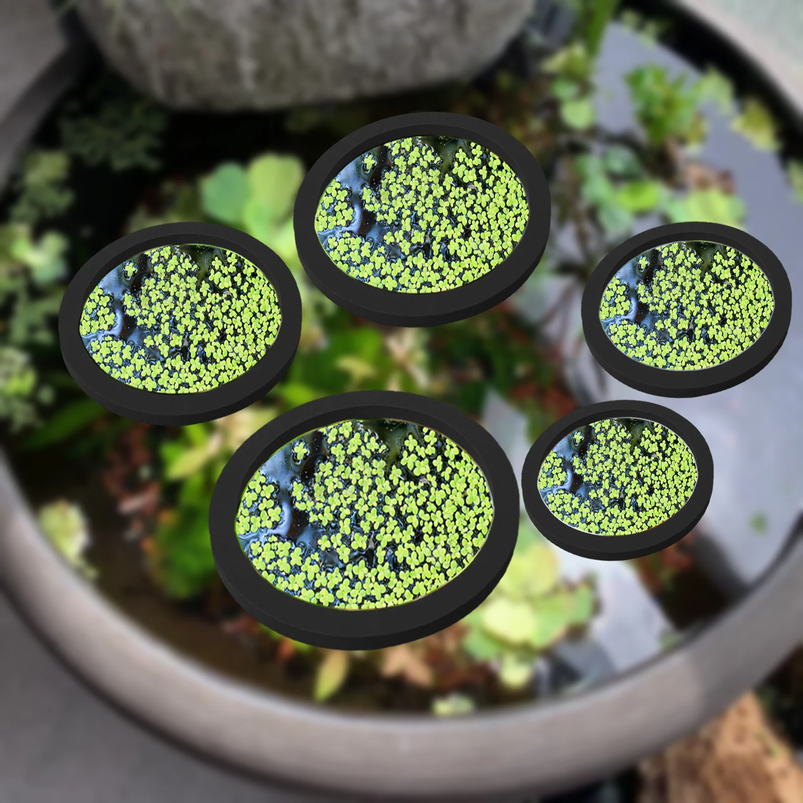 Aquarium Planted Plants - 5Pcs EVA Fish Feeding Ring Aquarium