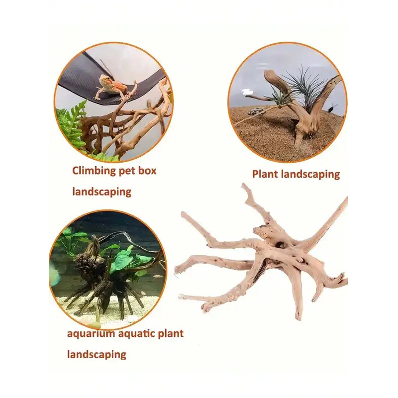 Natural Driftwood for Aquarium - Aquarium Plant Growing ulasan dan harga