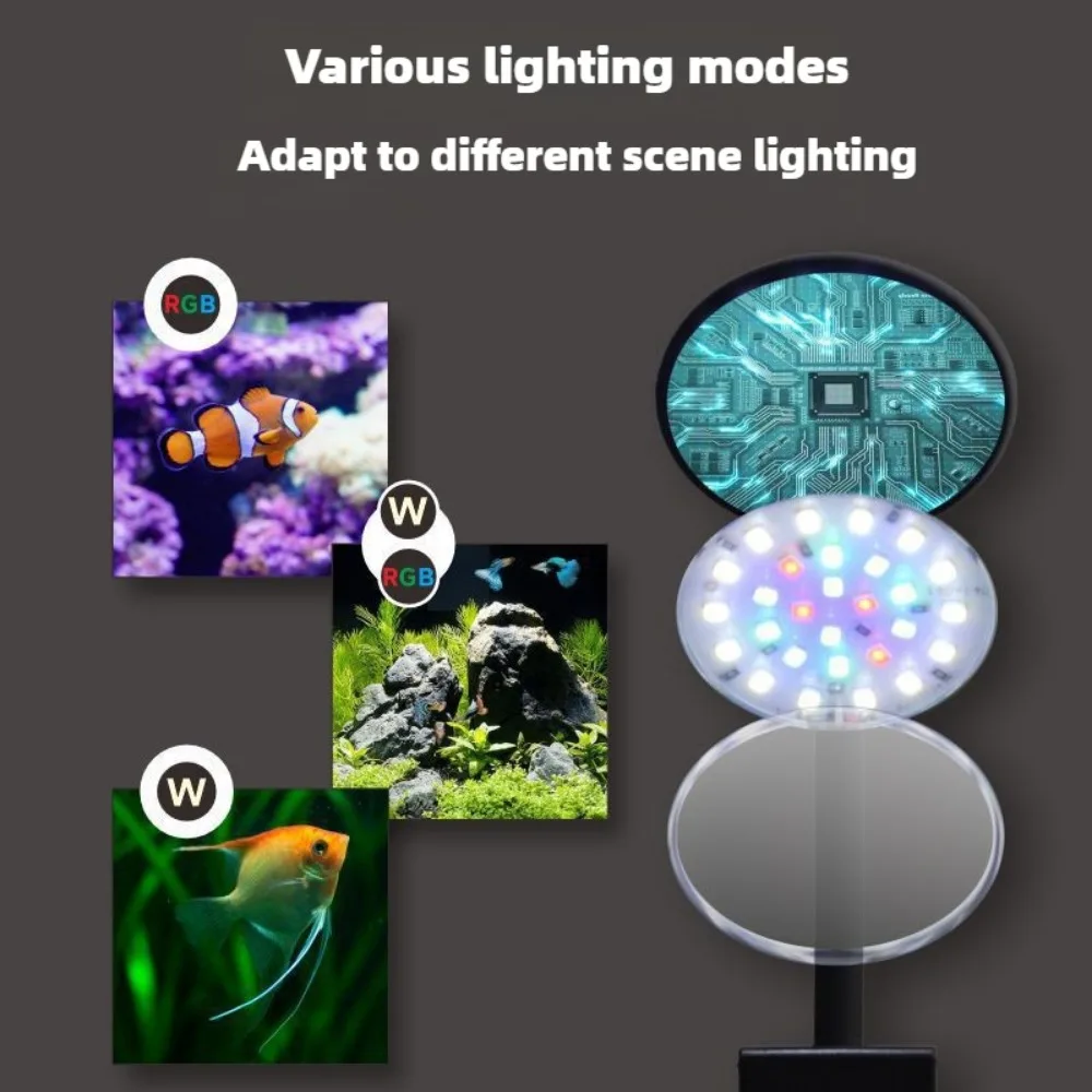 Clip on LED Aquarium Light Dim - Aquarium Plant Growing ulasan dan harga