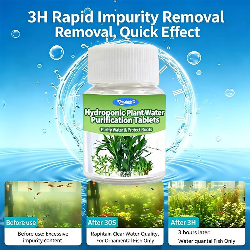 Hydroponic Water Purification  - Aquarium Plant In Pot ulasan dan harga