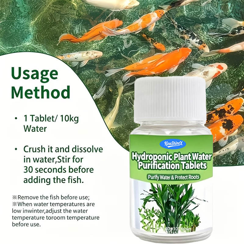 Hydroponic Water Purification  - Aquarium Plant In Pot ulasan dan harga