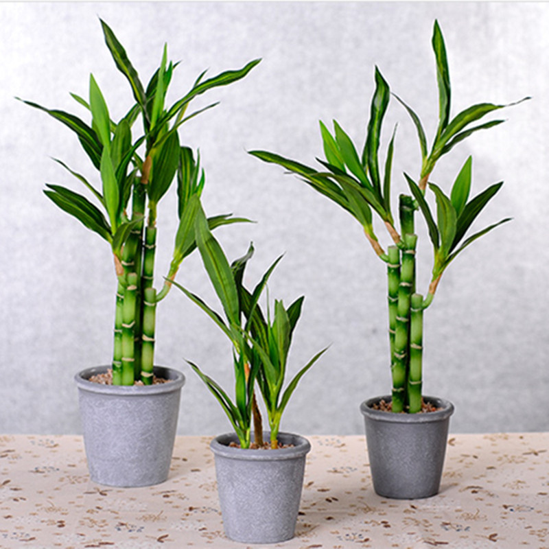 New 40cm Artificial Lucky Bamb - Aquarium Plant In Pot ulasan dan harga