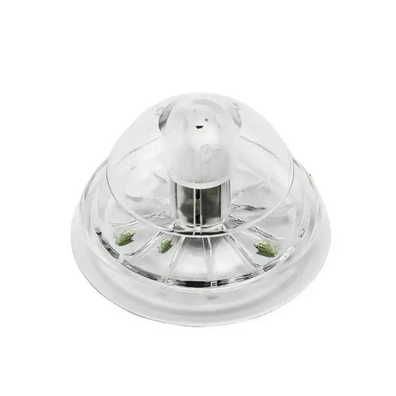 2026 New 6/8CM Clear Plastic S - Aquarium Plant In Pot ulasan dan harga