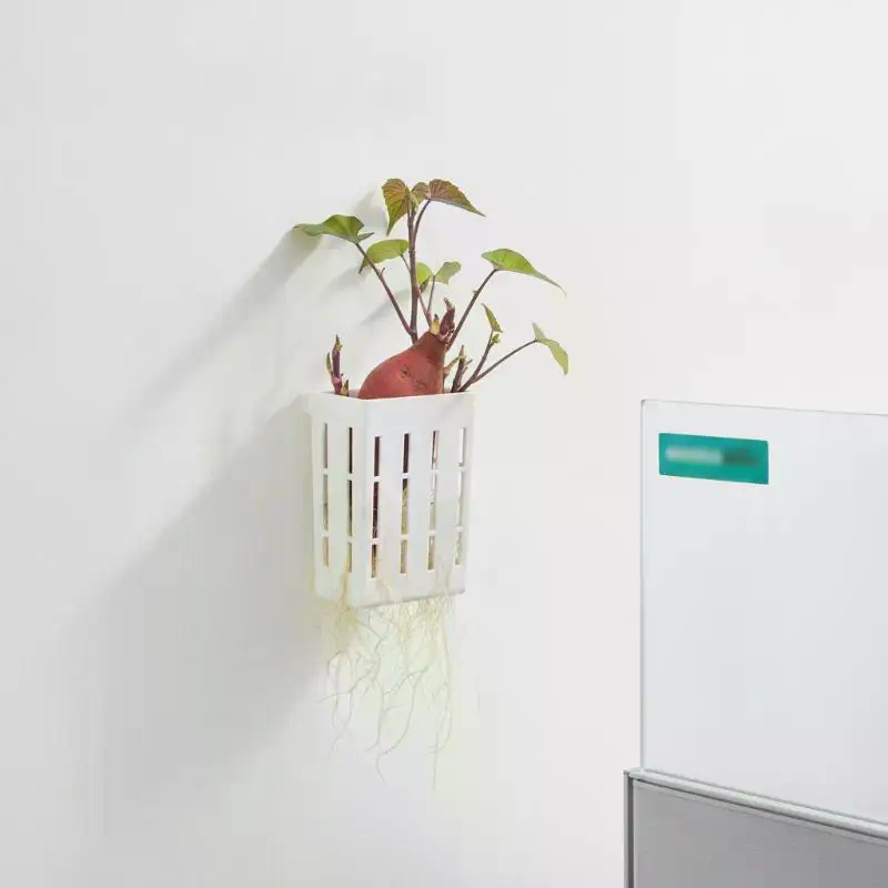 1Pcs Hydroponic Support Basket - Aquarium Planted Plants ulasan dan harga
