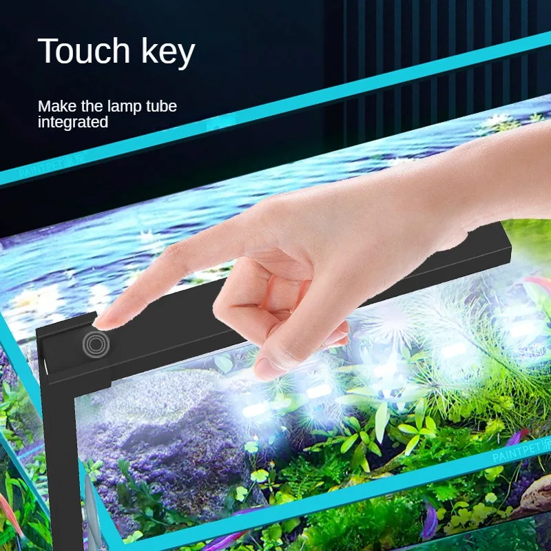 Small fish tank LED lamp fans  - Planted Aquarium Algae ulasan dan harga