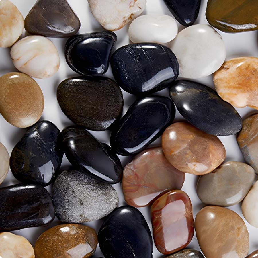 300-700g Smooth River Pebbles, - Aquarium Plant In Pot ulasan dan harga