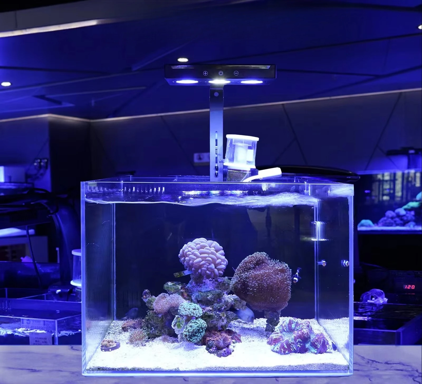 Grow Fish Tank Plant Lighting  - Aquarium Plant Growing ulasan dan harga