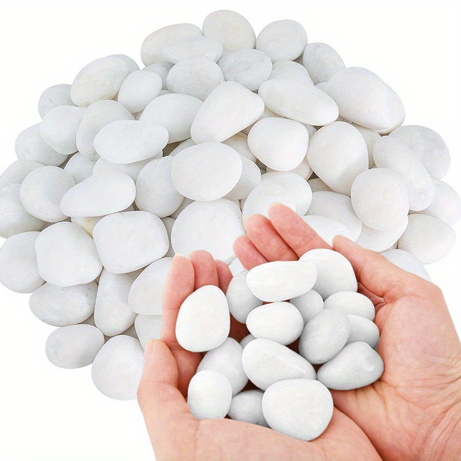 200/400g White High Polished N - Aquarium Plant In Pot ulasan dan harga