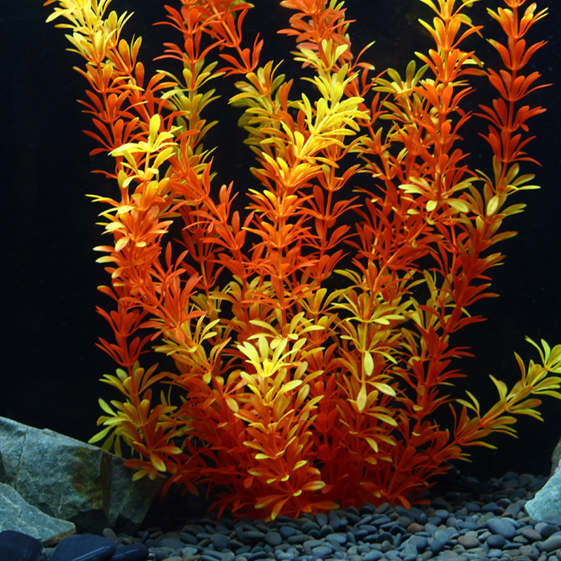 100cm Tropical Plants Large Ar - Aquarium Plant Growing ulasan dan harga