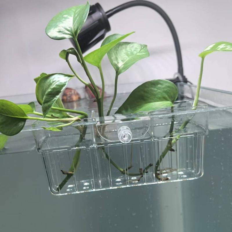 Hydroponic Plant Basket Food G - Aquarium Planted Plants ulasan dan harga