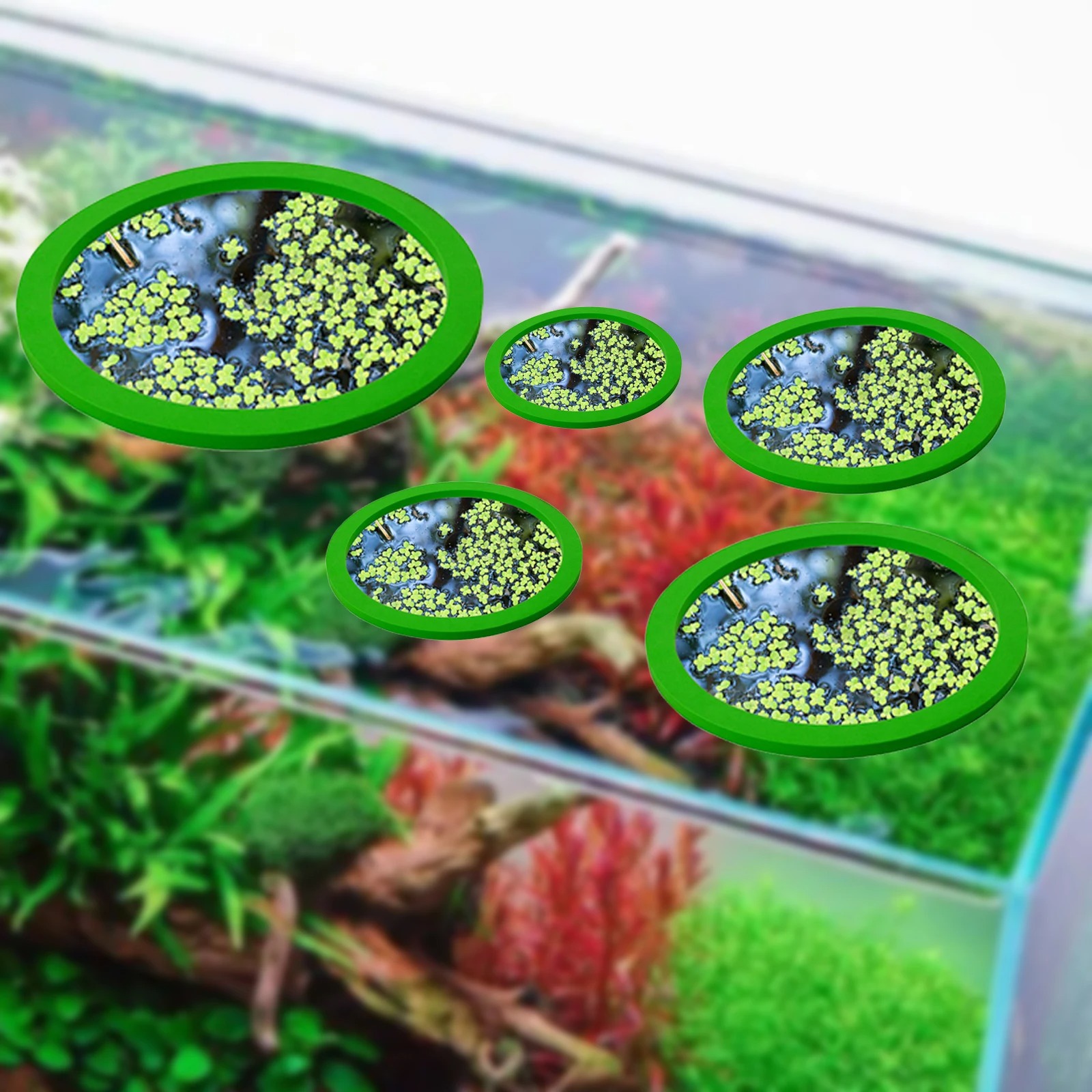 5Pcs EVA Fish Feeding Ring Aqu - Aquarium Planted Plants ulasan dan harga