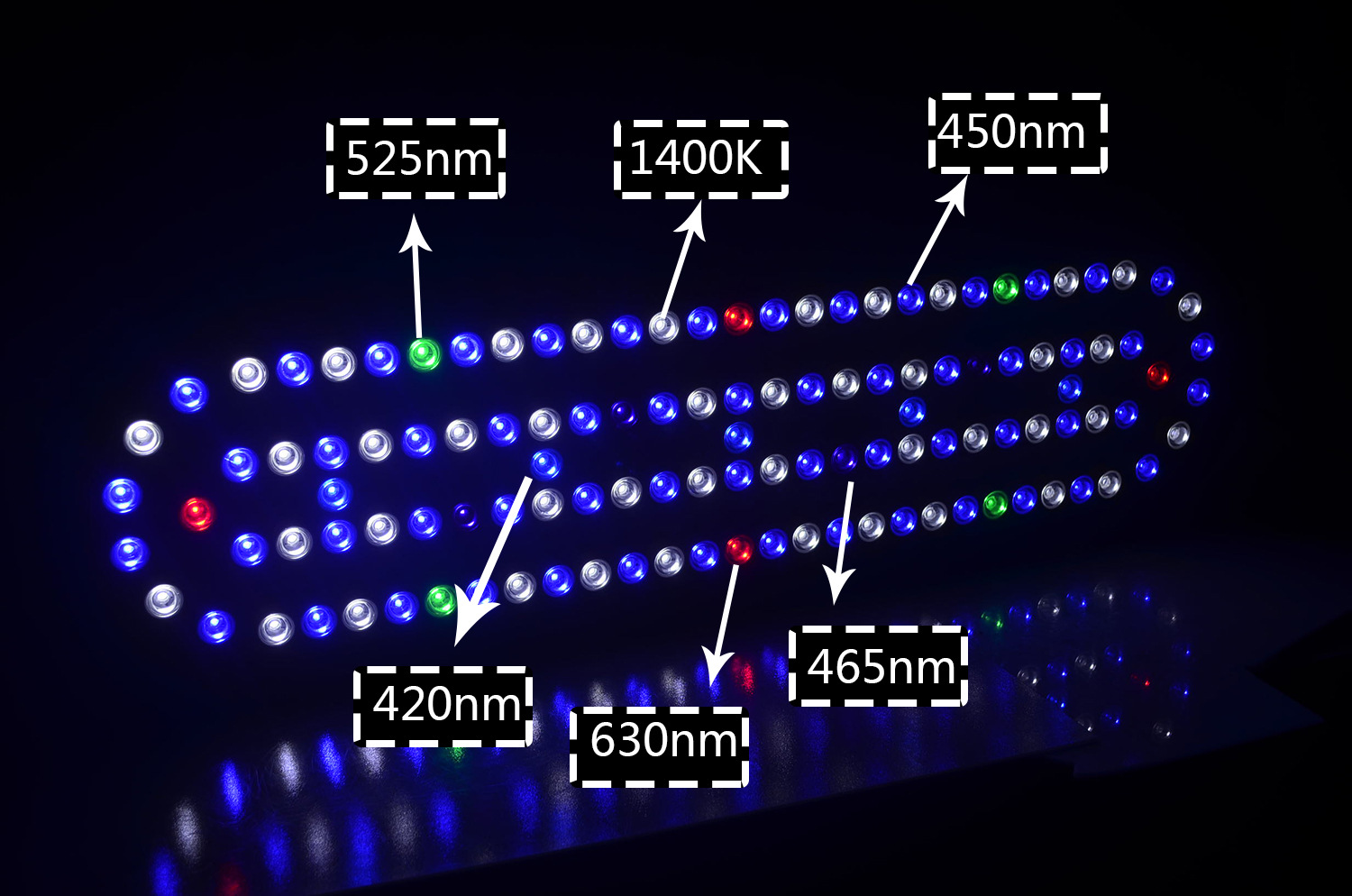 WiFi APP Remote Control Led Aq - Aquarium Plant Growing ulasan dan harga