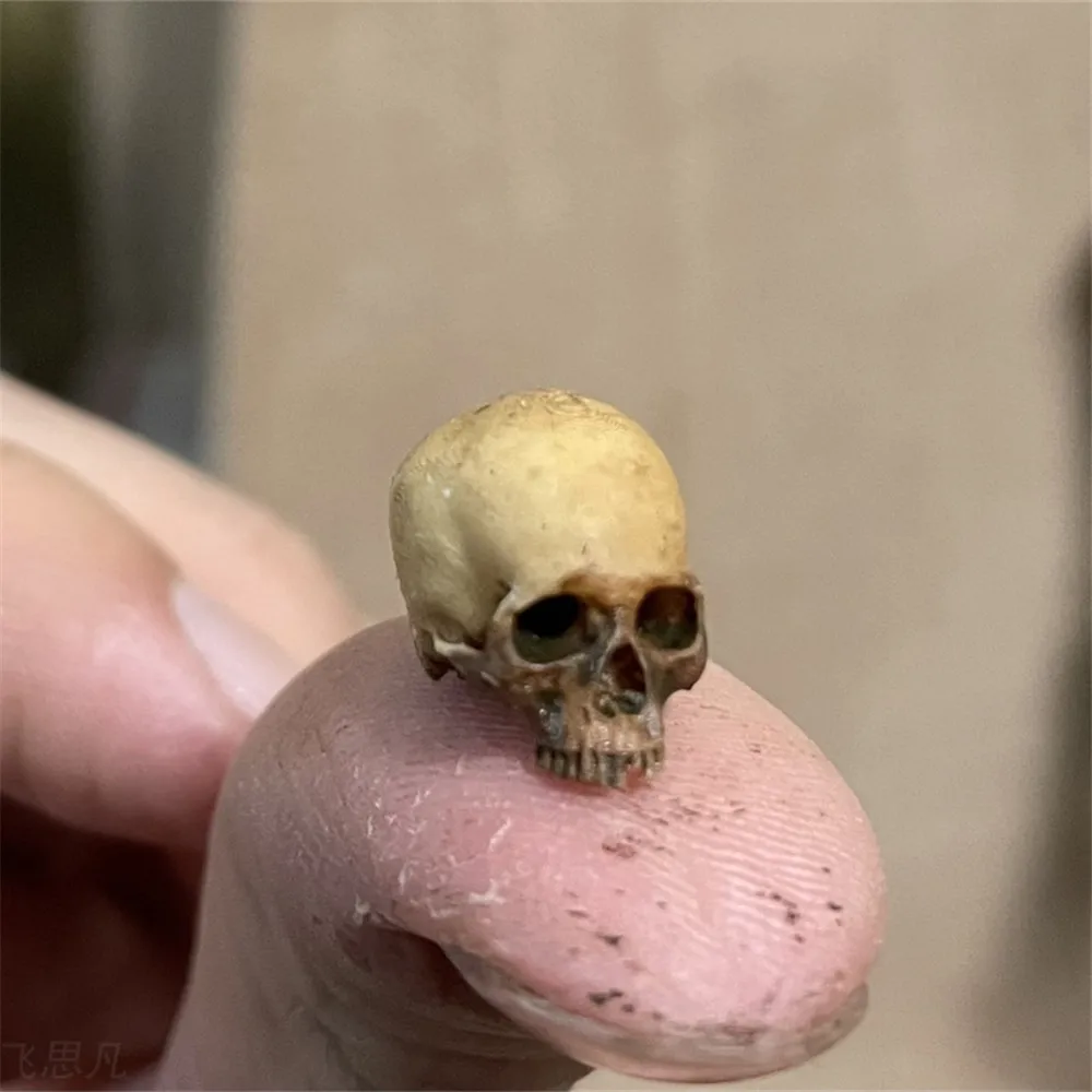 Mini Skull High Quality Miniat - Aquarium Plant In Pot ulasan dan harga