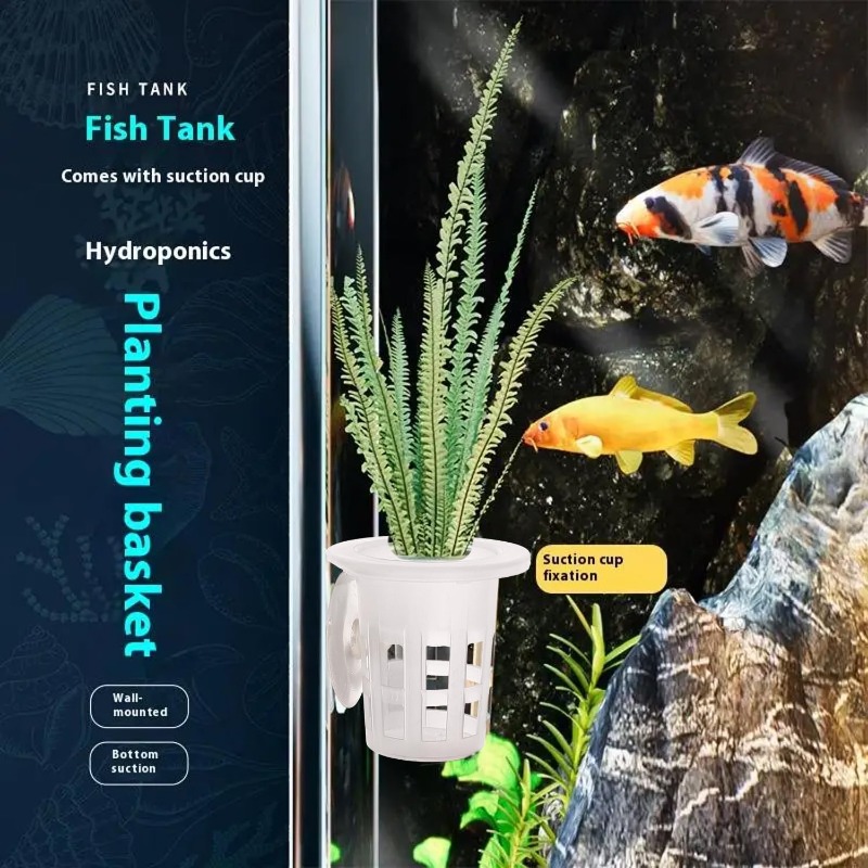 10/20/30Pcs Plastic Aquarium P - Aquarium Plant Diseases ulasan dan harga