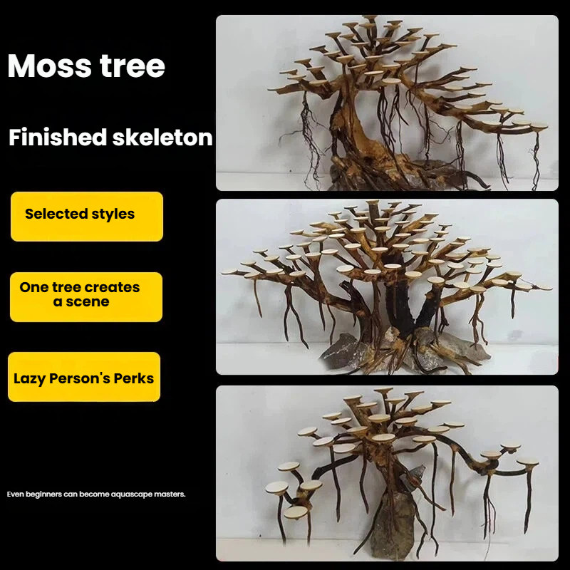 Aquarium Landscaping Moss Tree - Aquarium Plant Growing ulasan dan harga