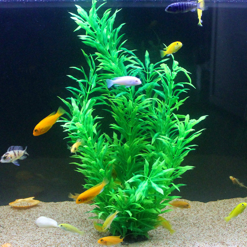 50CM Artificial Fish Tank Rare - Aquarium Plant In Pot ulasan dan harga
