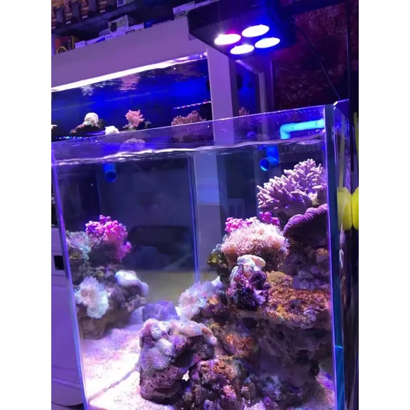 Gako A052 52w Hot Sale Aquariu - Aquarium Plants For Sale ulasan dan harga