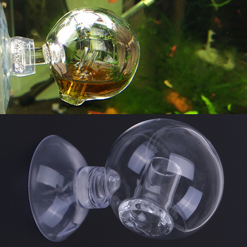 Diffuse Glass CO2 Drop Checker - Aquarium Plant In Pot ulasan dan harga