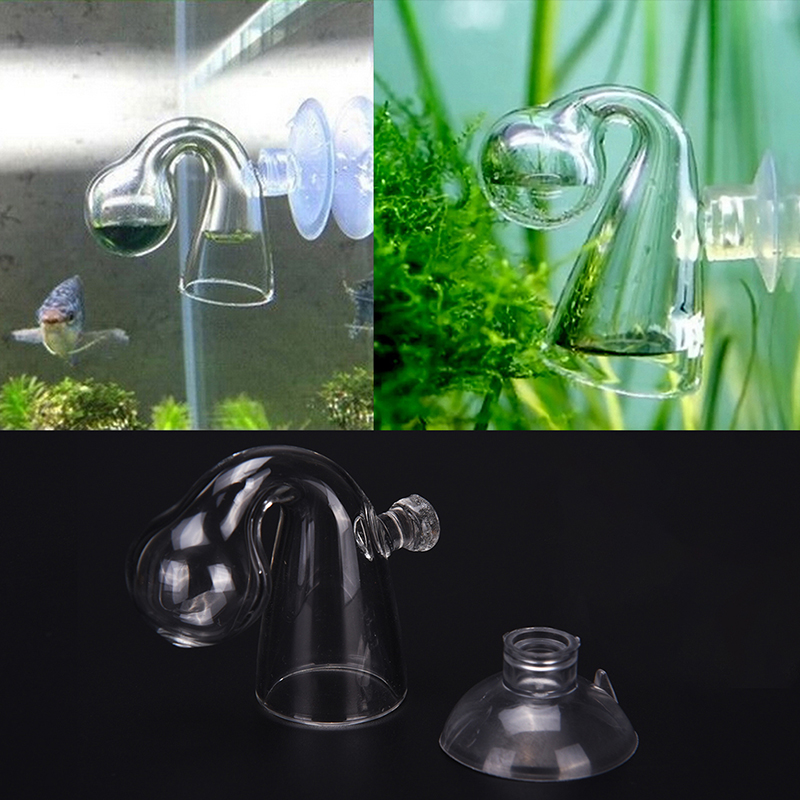 Diffuse Glass CO2 Drop Checker - Aquarium Plant In Pot ulasan dan harga