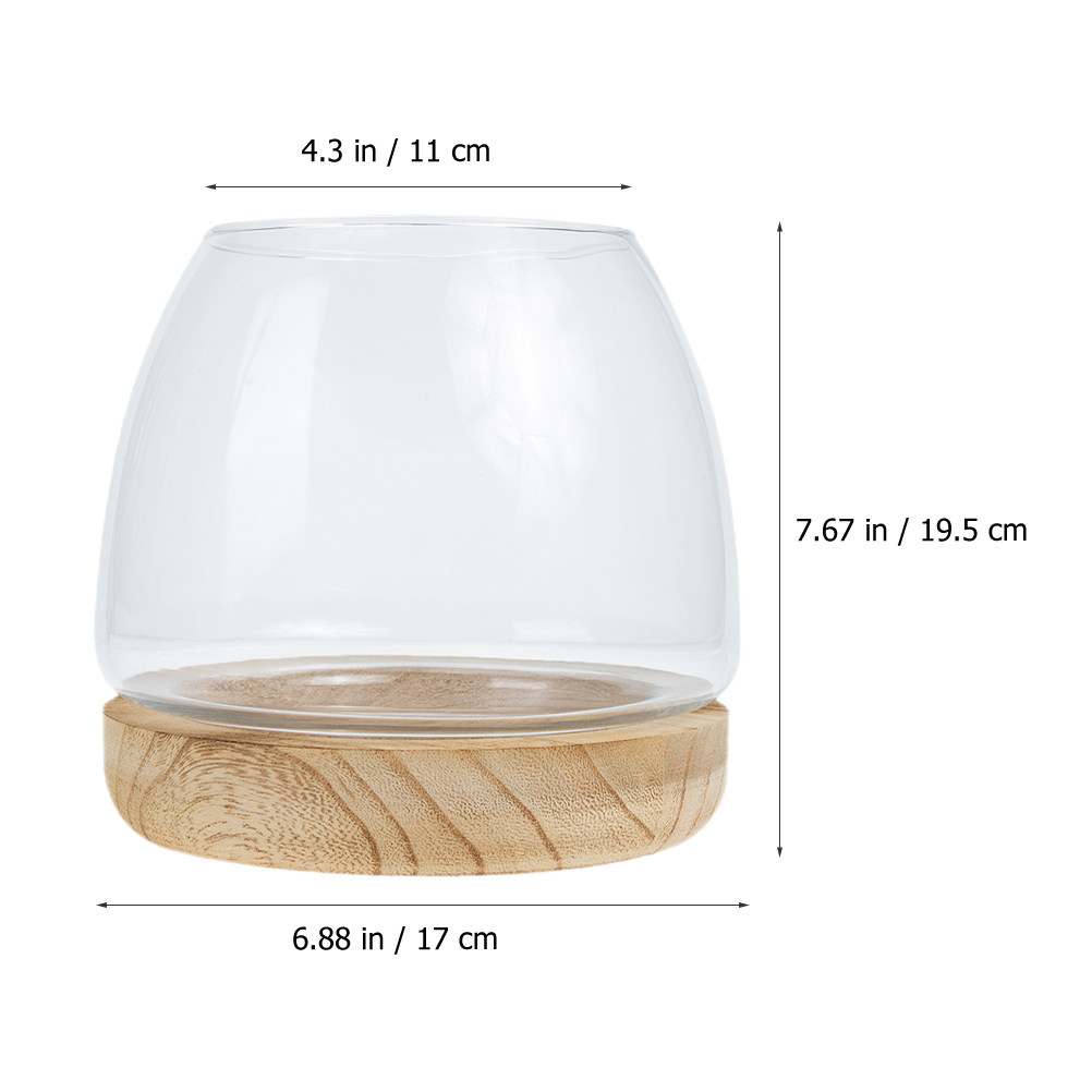 1Set Clear Glass Hydroponic Pl - Aquarium Planted Plants ulasan dan harga