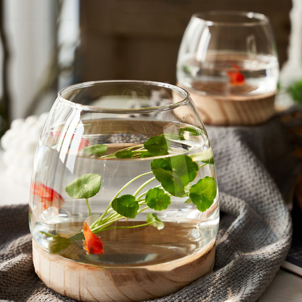 1Set Clear Glass Hydroponic Pl - Aquarium Planted Plants ulasan dan harga