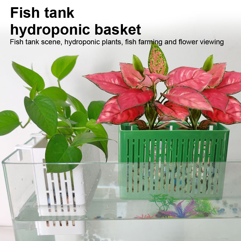【F】Fish Tank Hanging Planter A - Aquarium Plant In Pot ulasan dan harga