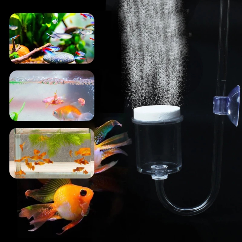 4pcs Set DIY CO2 Diffuser For  - Aquarium Plant Growing ulasan dan harga