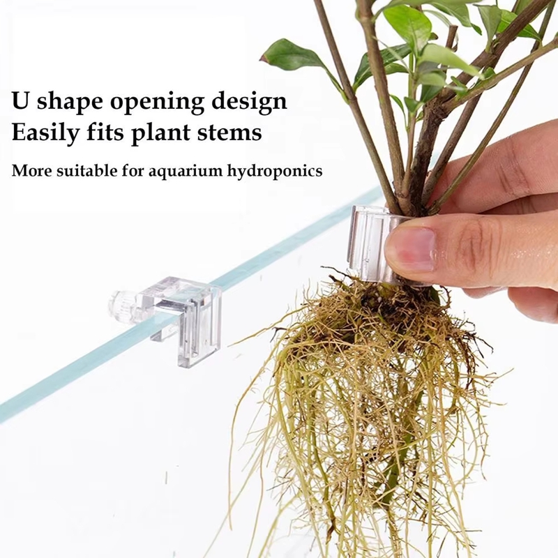 Hot Sale 6pcs Clear Aquarium P - Aquarium Plants For Sale ulasan dan harga
