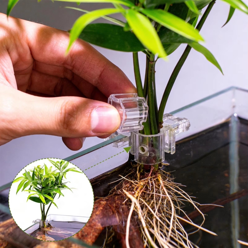 Hot Sale 6pcs Clear Aquarium P - Aquarium Plants For Sale ulasan dan harga